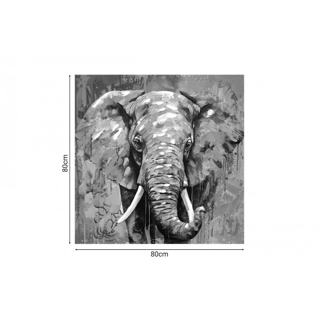 Πίνακας "ELEPHANT" σε καμβά πολύχρωμος 80x3x80